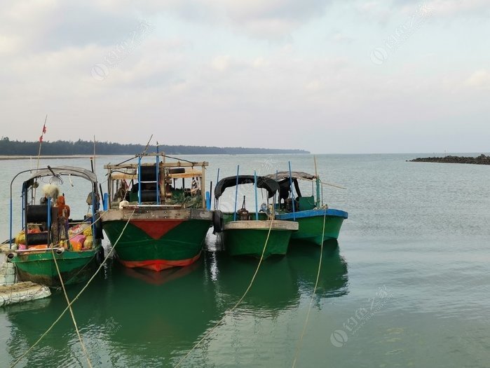 矶钓一竿远,精彩矶钓