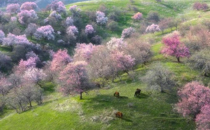 疫情过后再去看看风景,疫情结束后的人间仙境