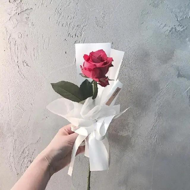 七月走心的句子,七月最暖心的话