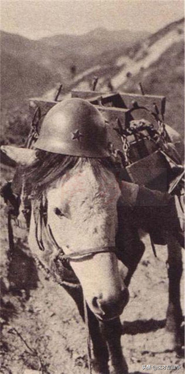 地雷战电视剧是不是抗日神剧,真实的抗日地雷战视频