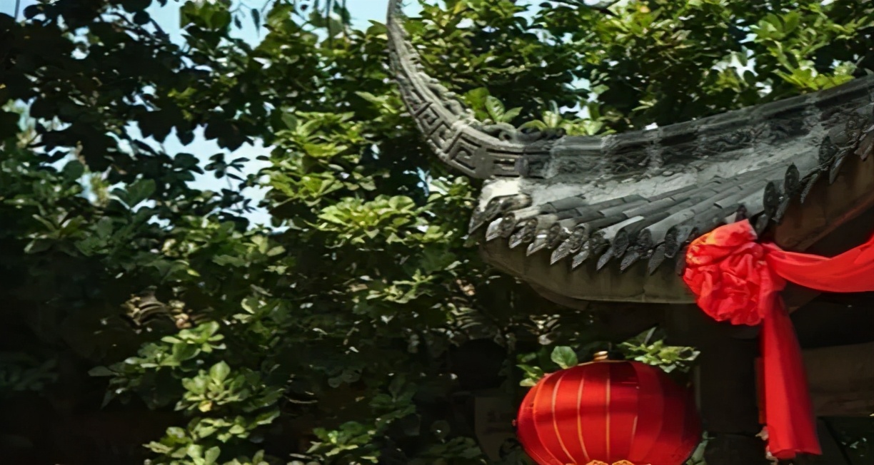 又是人间四月天踏青赏花正当时,正是人间芳菲时