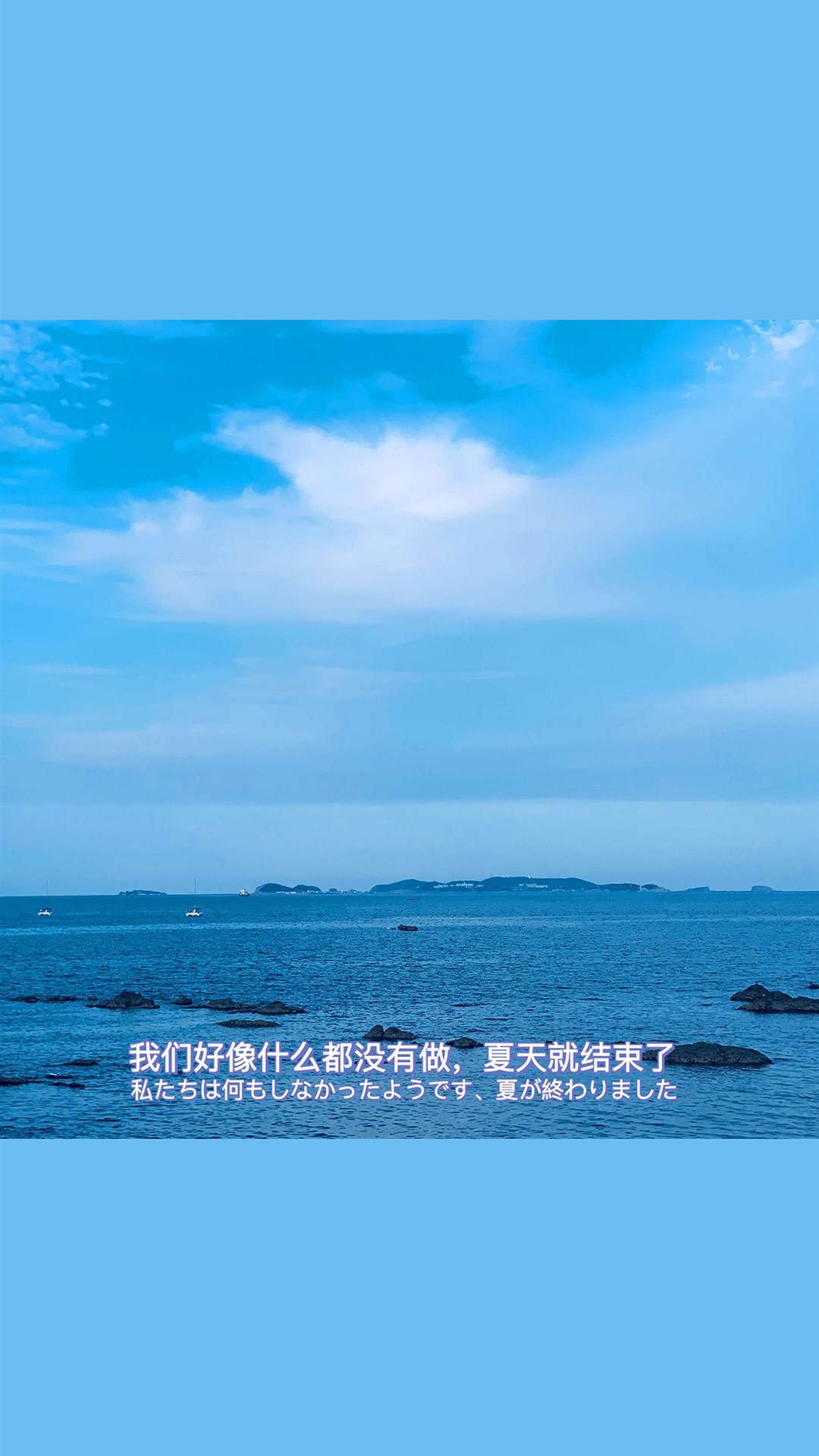 干净有质感的文字手机壁纸,多彩多色花超清壁纸