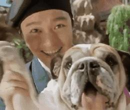 狗狗太粘人怎么办一直叫,狗狗太粘人了怎么办