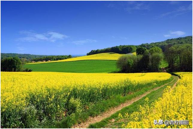 摄影光圈与景深的关系,大小光圈摄影有何区别