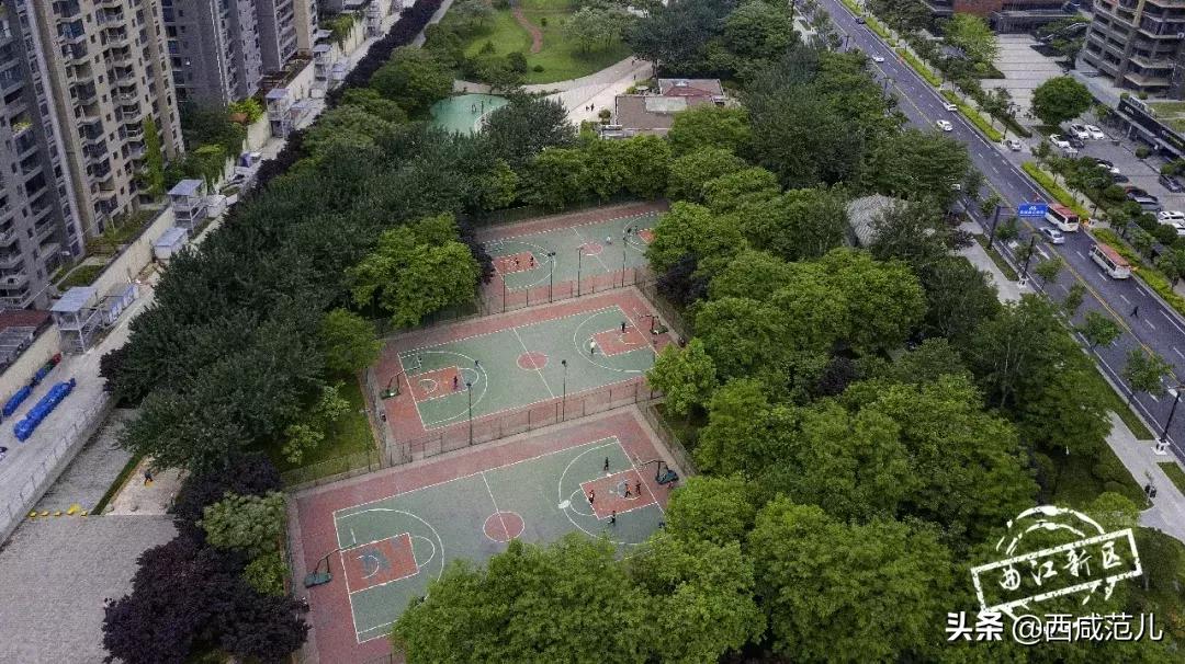 西安生态公园十一开园,西安秦岭四宝科学公园开园