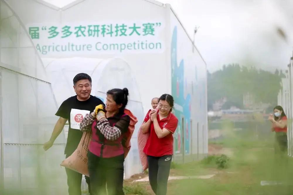 拼多多走到了十字路口