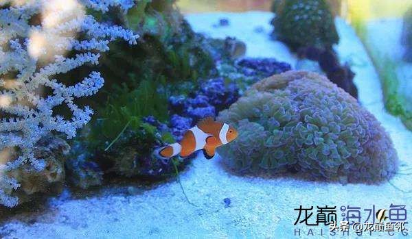 说出来都是泪！只有新下海的人才能体会这种痛，简直是全军覆灭