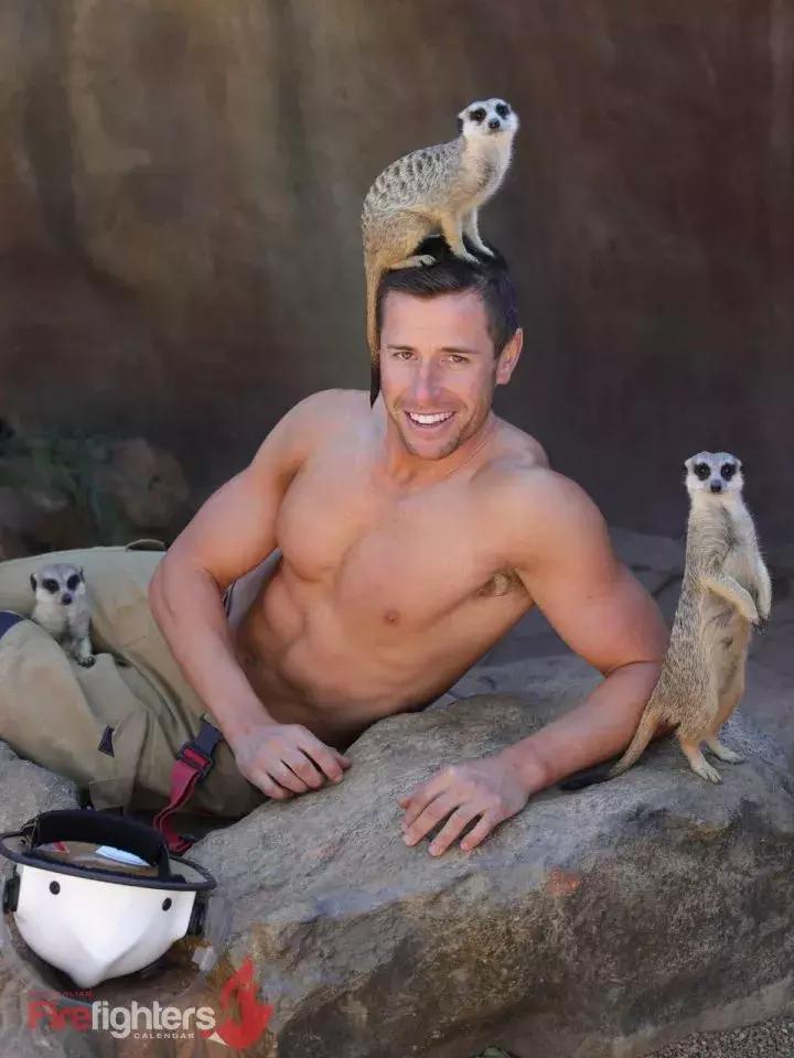 辣到爆的猫片,对不起我要流鼻血了……