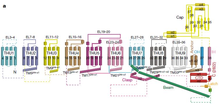 冷冻电镜最新研究,冷冻电镜研究成果涌现