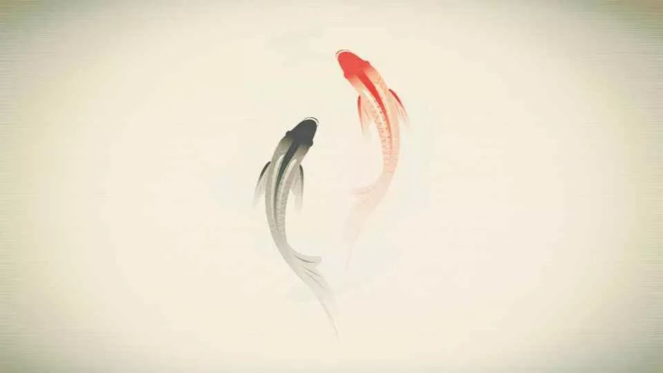 从诗经到陶渊明蒋勋说文学,蒋勋说文学