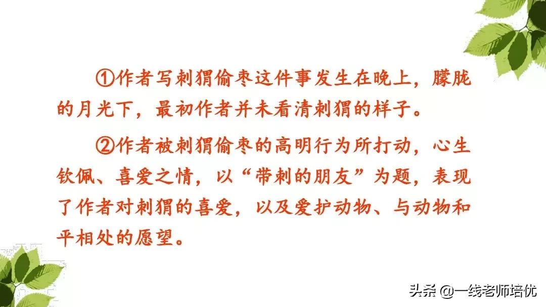 带刺的朋友三年级上册,三年级语文带刺的朋友课文知识点