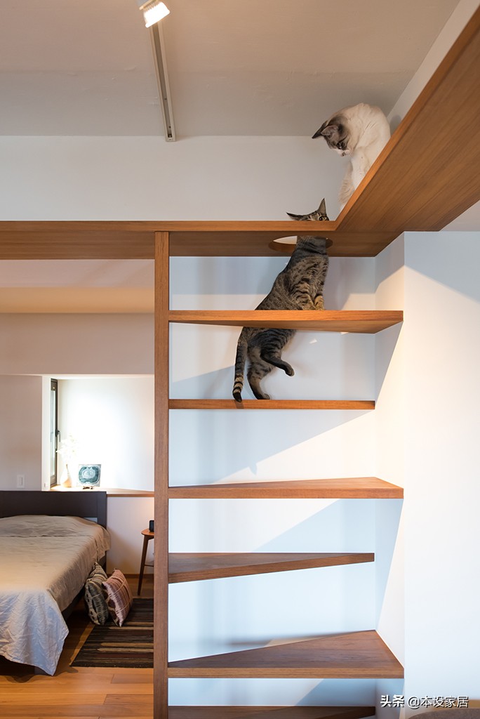 看了这套84㎡“教科书式”小宅,我发现无数中国人正在过度装修