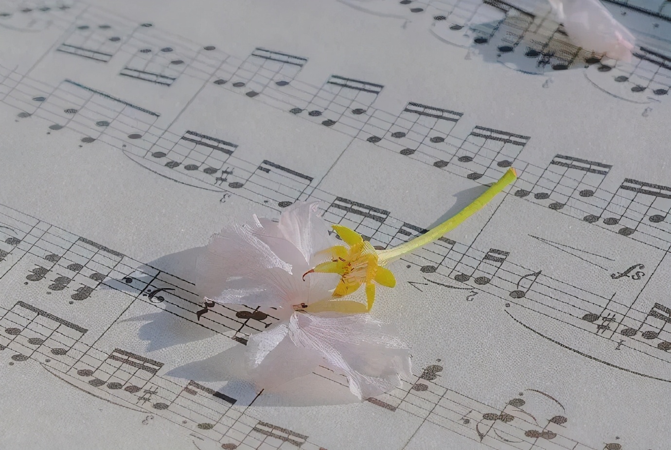 为什么男生拒绝暧昧,男生一直暧昧却不主动表白