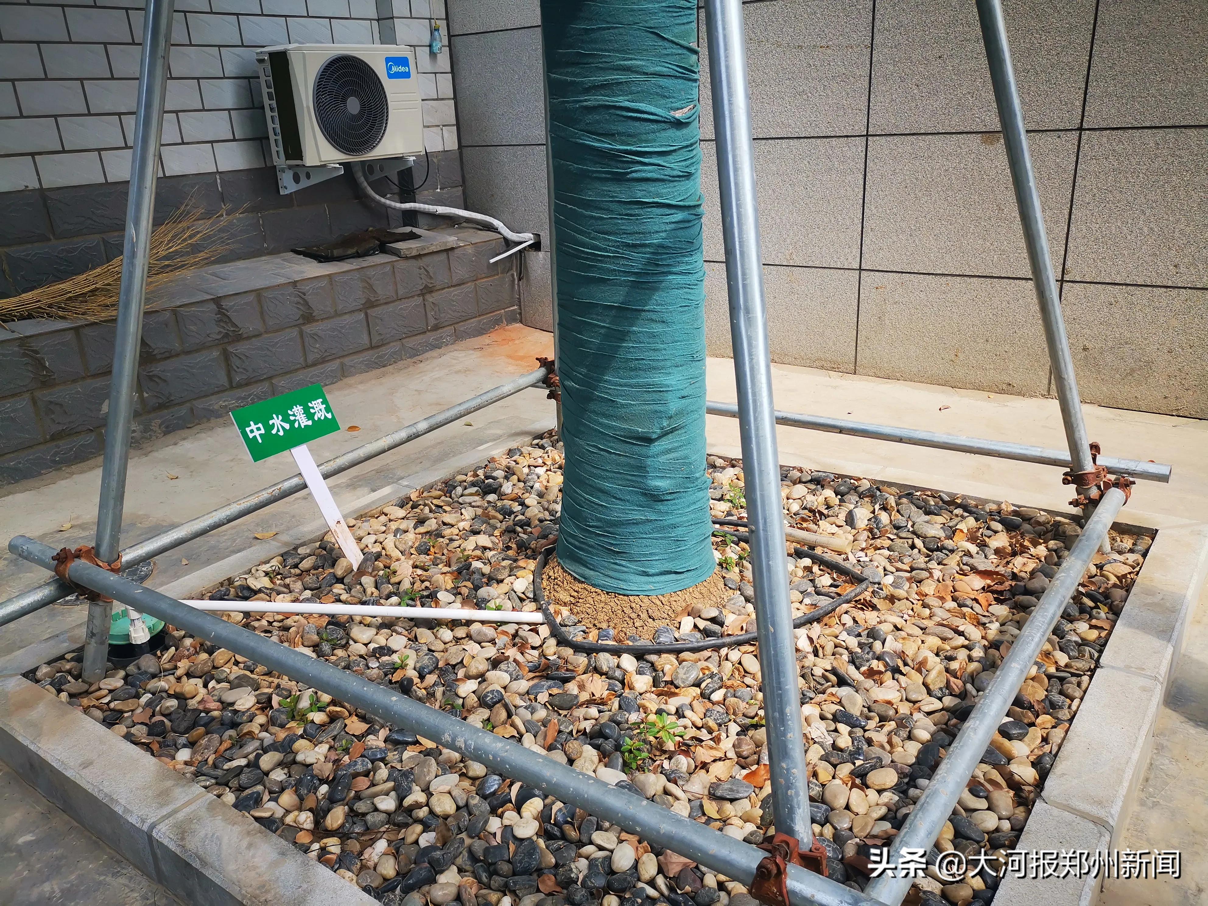 郑州每天净化200万吨再生水，可再造7.6个如意湖，一周注满一个杭州西湖