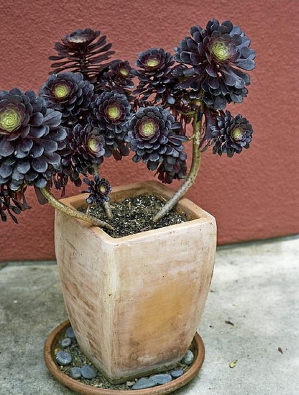 霸气经典说说适合发朋友圈的句子,最近朋友圈很流行的说说句句经典