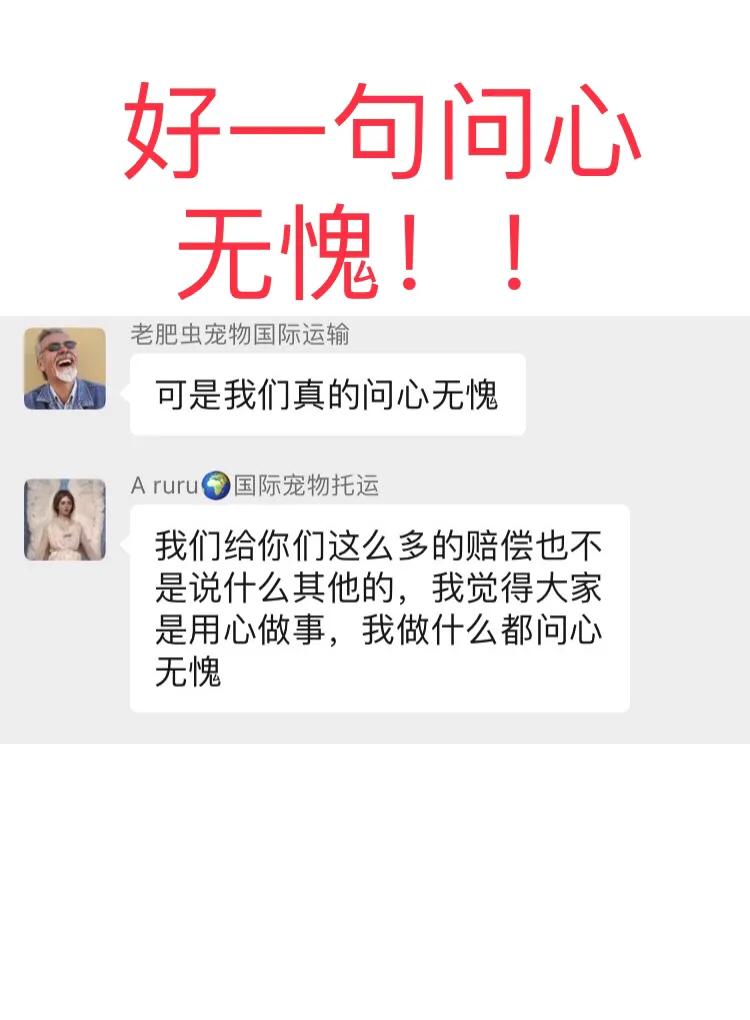 金毛siri被无良商家托运真实视频,金毛被主人丢弃了真是太可怜了