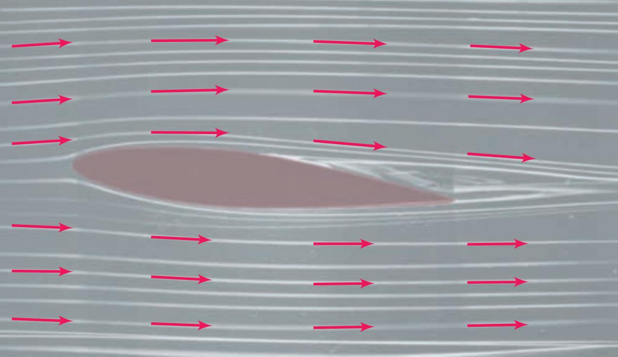 一个数的绝对值越大,哪个数没有绝对值
