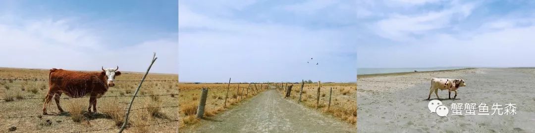 承德到大草原自驾游攻略,北京出发热阿线达达线自驾游攻略