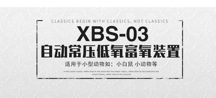XBS-03小动物低氧富氧两用培养箱-缺氧培养箱-高氧培养箱