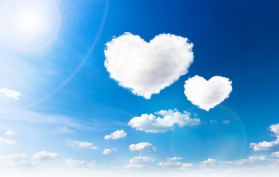 大棚蔬菜田间管理技术,冬季大棚种植什么蔬菜销路好