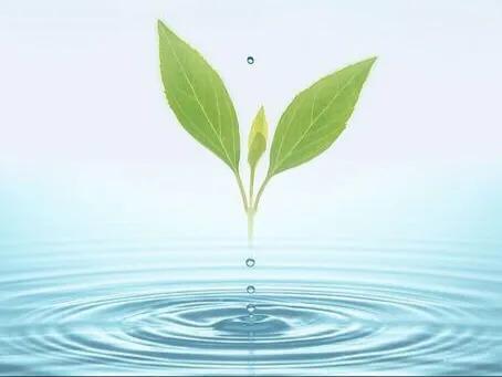 读林家铺子的感悟,林家铺子读后感