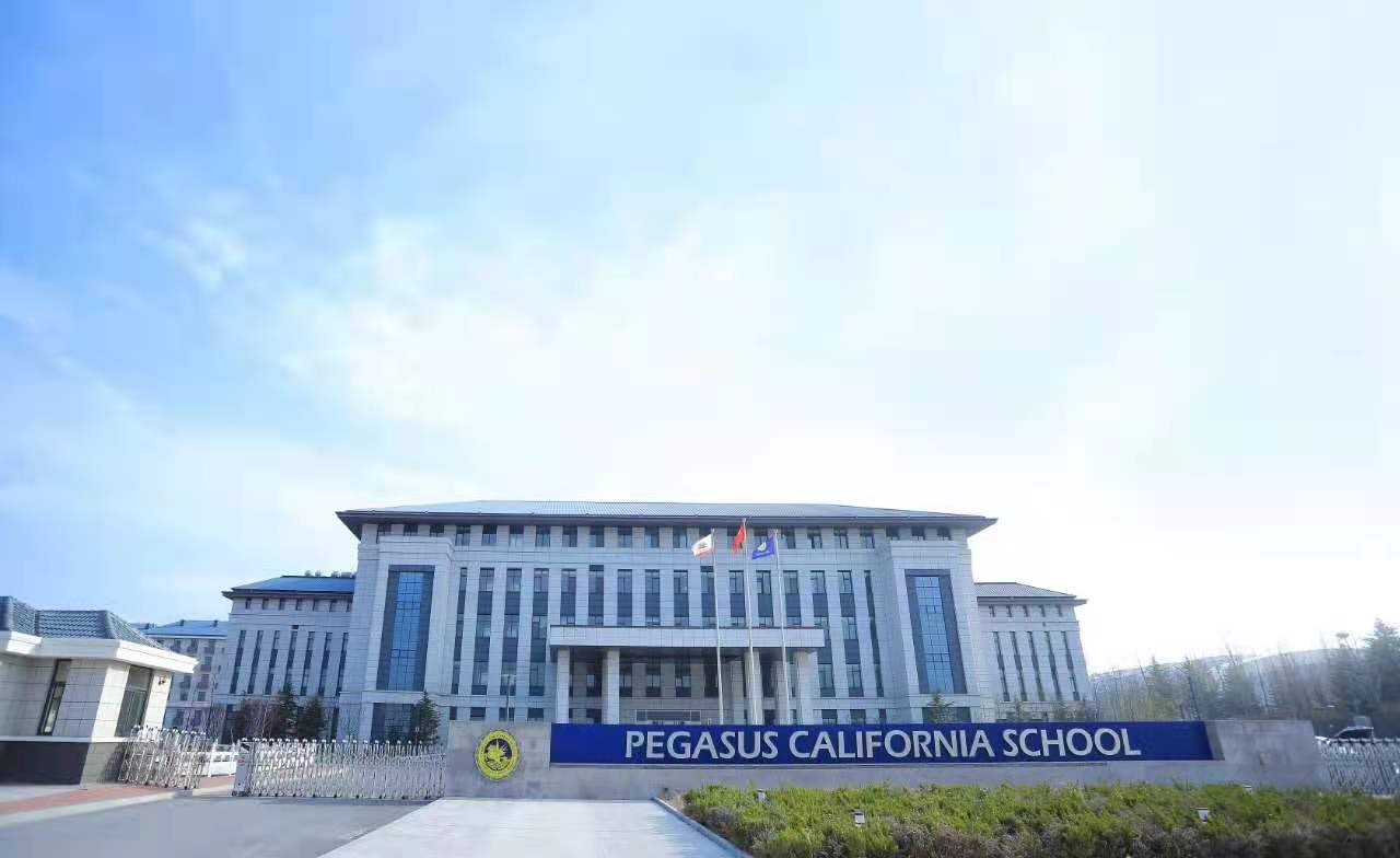 青岛最牛的国际学校 (青岛口碑最好的国际学校)