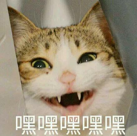 情侣酒店的床为什么要做成圆的,为什么情侣酒店床是圆的