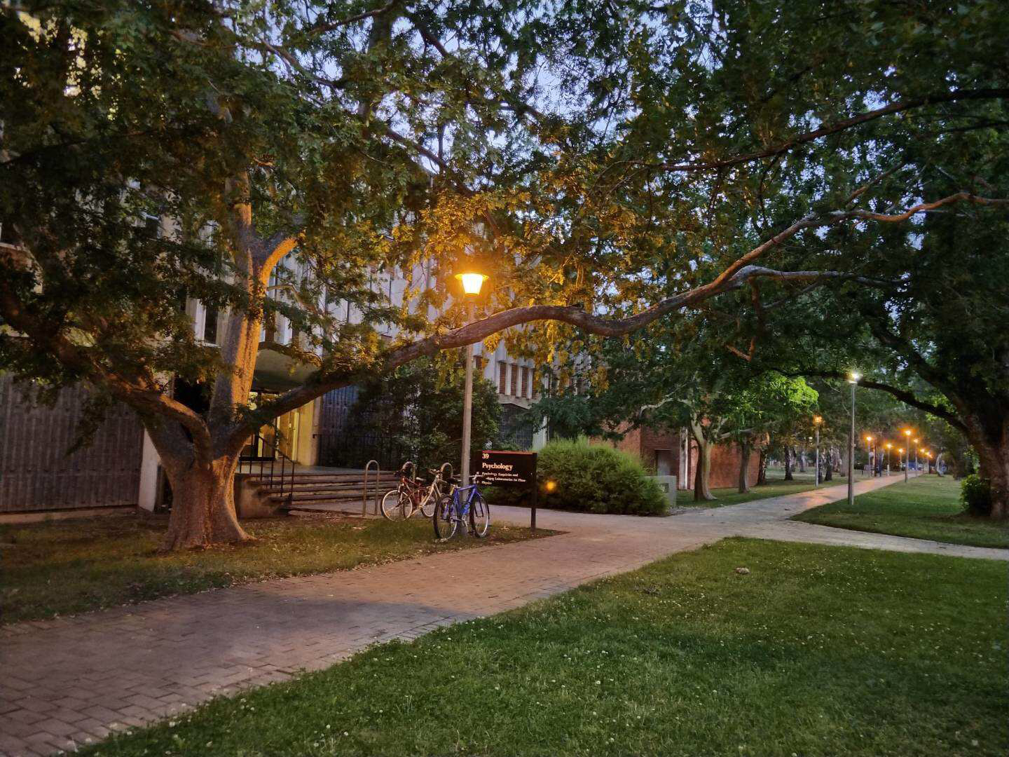 昆士兰大学相当于国内的哪所大学,昆士兰大学世界排名