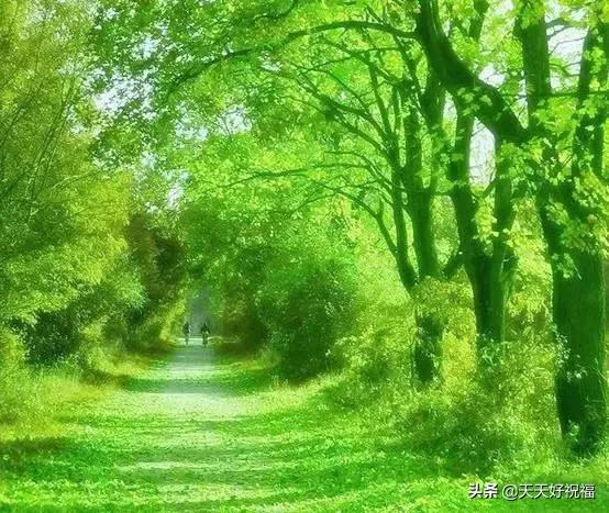 绝！绝！绝！这条微信谁编的？太有才了