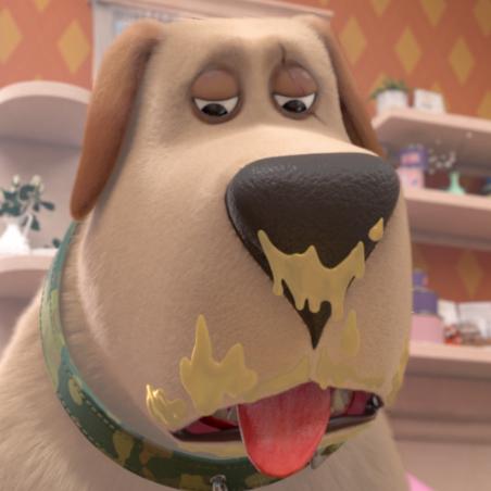 飞狗moco之小柯基的脑洞时刻,飞狗moco和他的小伙伴们