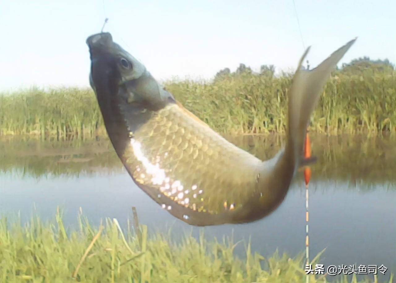 小区门口开渔具店,渔具店的黑心案例