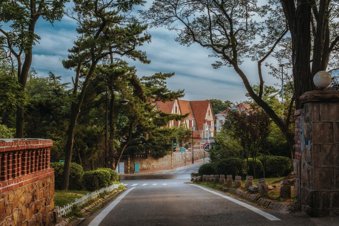 均温20℃的海滨老城，紫色泡桐花美得像国外，现在去性价比超高