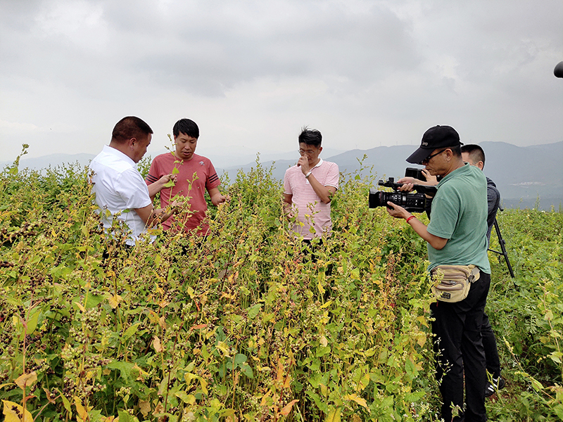 昆明桃园家俱城：*党**建引领、消费扶贫成效显著