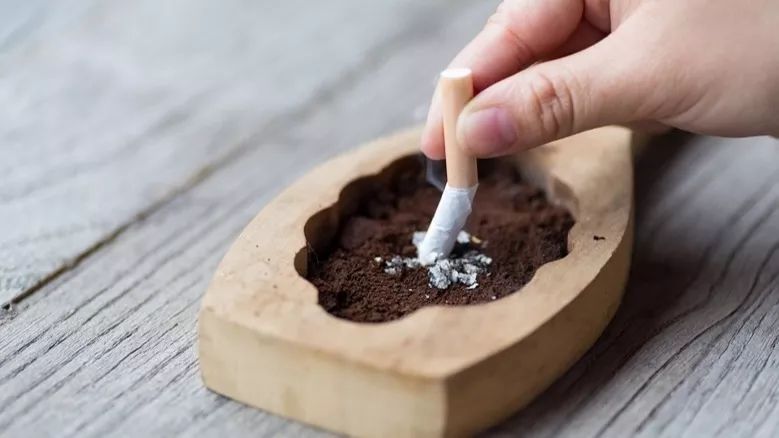 特需门诊@你|鼻咽癌“偏爱”广东人？早防早治是关键