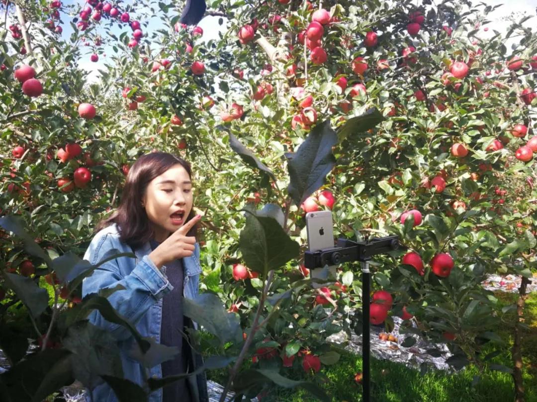 几天吃光6万吨滞销农产品,淘宝吃货:很抱歉以这样的方式出名