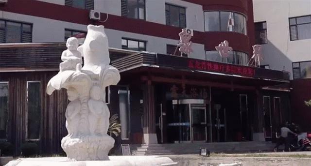 这个季节很适合泡温泉,到五龙背泡温泉放松一下心情