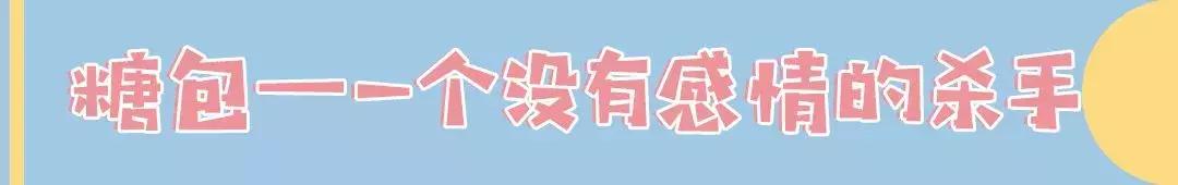 软萌暴击！邯郸这家高颜值猫咖上线，“吸猫”终于提上日程！