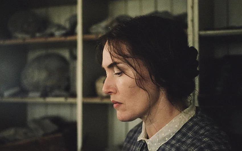 《菊石》的后劲：沉浸体验式的阅片过程，前所未有