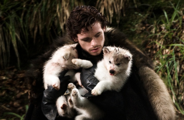 权力的游戏红袍女巫跟雪诺,冰原狼雪诺与白灵完整版