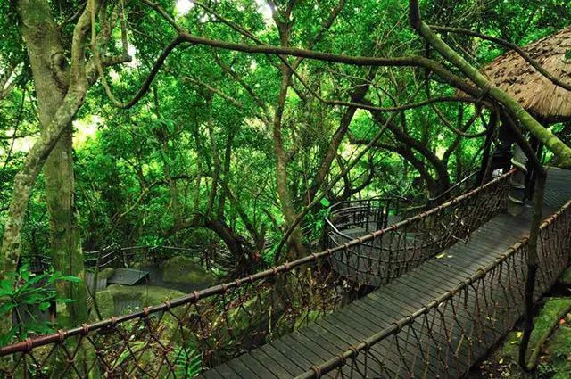 年前体验海南风情，三亚有我不变的梦