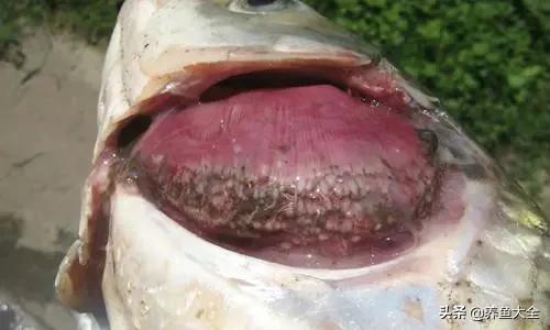 疾病科普小讲堂,疾病知识小讲堂