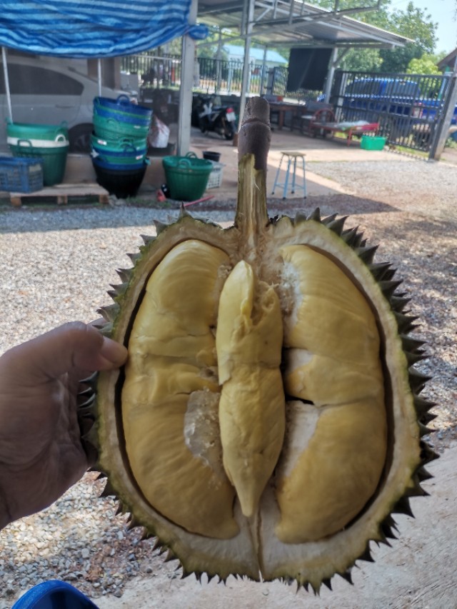 水果店相对微商有什么优势,为什么水果店那么难做起来