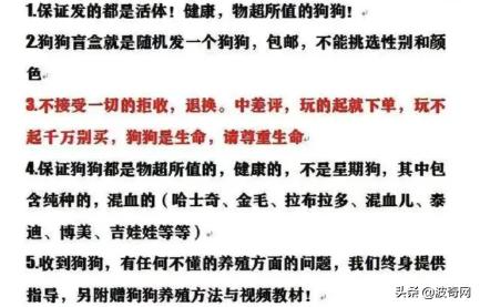 活体宠物塞入“盲盒”，拆开后是狗狗尸体！卖家：玩不起别买