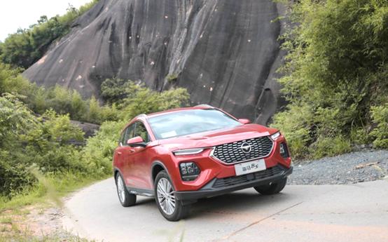 员工返岗太南了？海马汽车爱心返岗车队就位，网友：我酸了