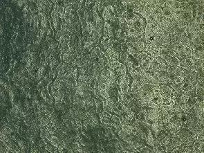 葡萄长锈斑怎么回事,怎样才能防止葡萄烂果