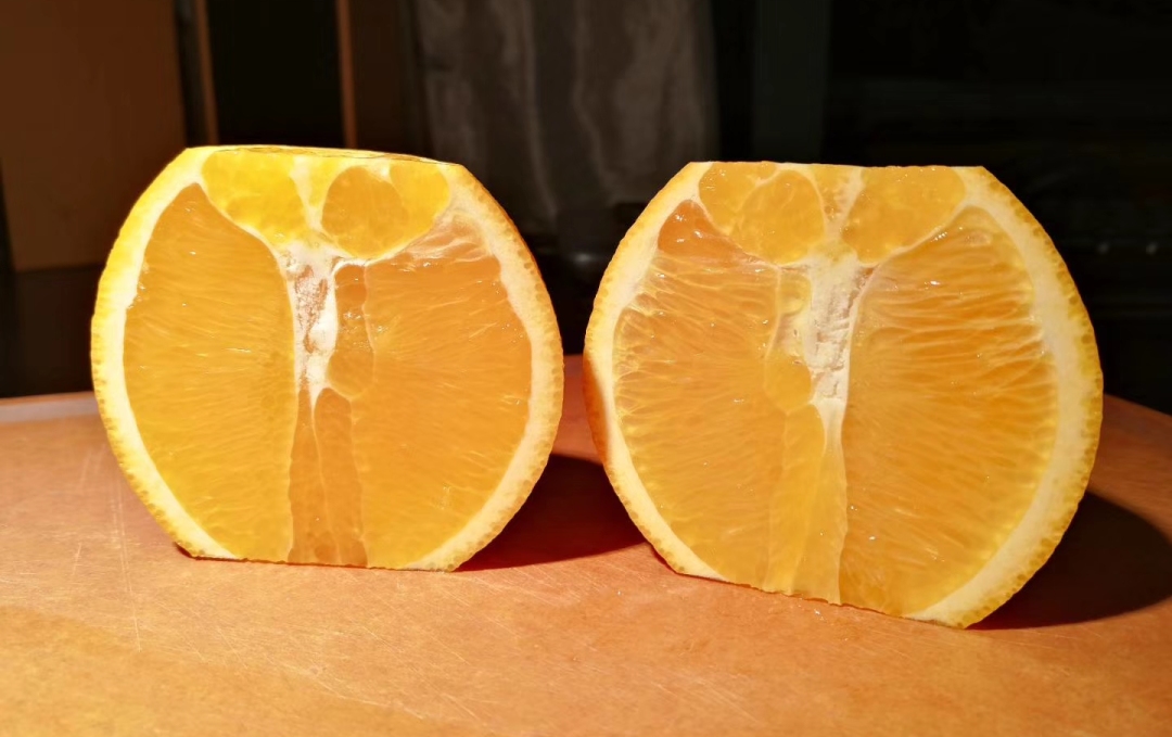 全球十大名橙排名,国内外名橙