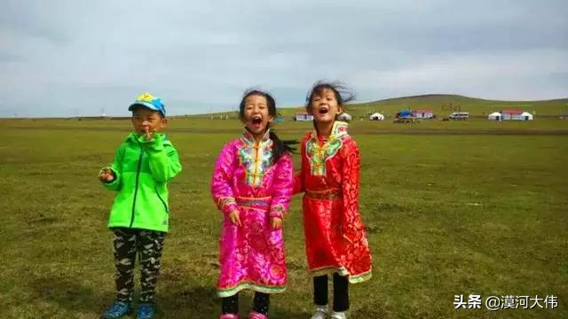 森林草原自驾游,森林亲子旅游攻略图片大全