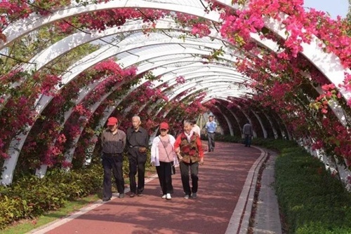 十年发展的变化,北海新旧发展对比