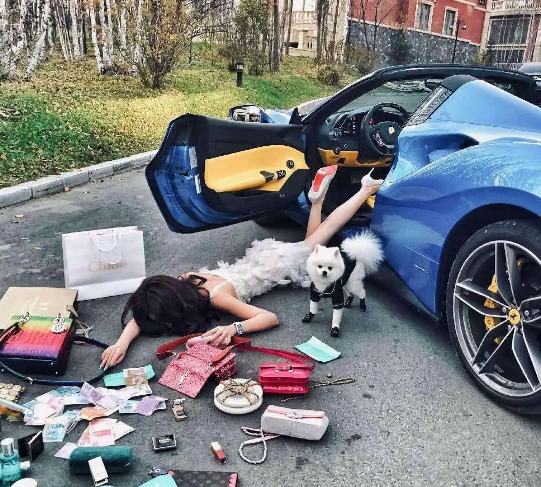 凡尔赛文学综艺学霸,凡尔赛学习