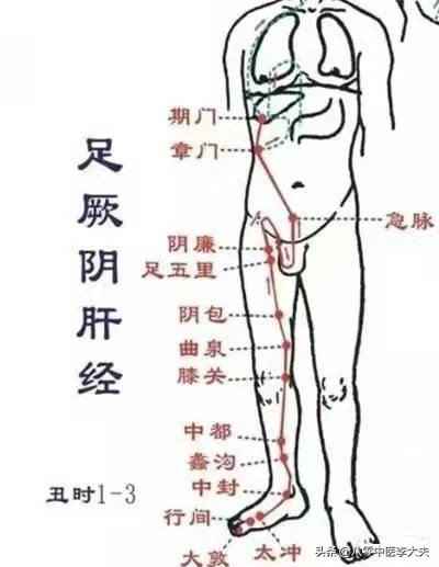 逍遥丸经典小药丸隐藏着五种功效,逍遥丸的五大奇效和副作用图片